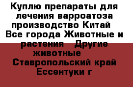 Куплю препараты для лечения варроатоза производство Китай - Все города Животные и растения » Другие животные   . Ставропольский край,Ессентуки г.